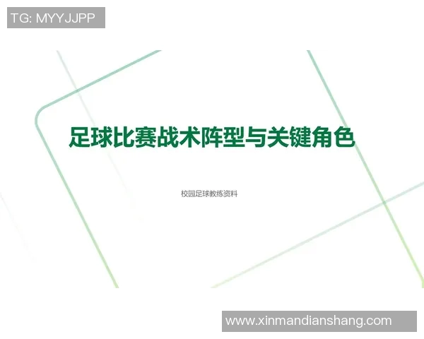 基于足球星型平衡理论的战术优化与球队整体协同效应研究 基于足球星型平衡理论的战术优化与球队整体协同效应研究