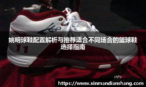 姚明球鞋配置解析与推荐适合不同场合的篮球鞋选择指南