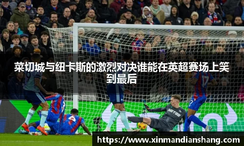 菜切城与纽卡斯的激烈对决谁能在英超赛场上笑到最后